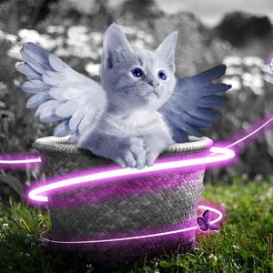 精品久久亚洲高清不卡
